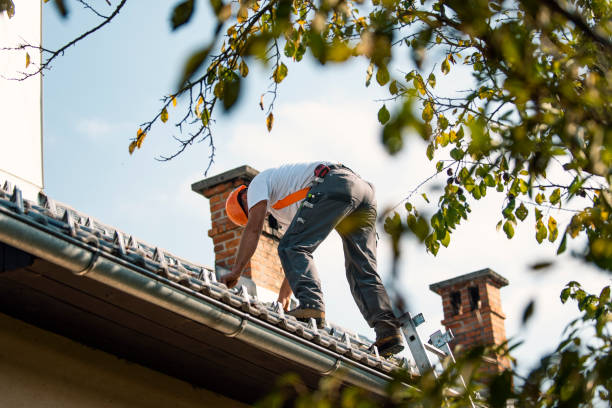 Best Gutter Installation and Roofing  in Mount Gilead, OH